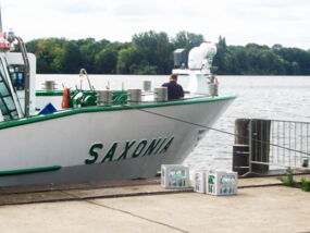 Bug der MS Saxonia
