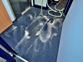 Nadelfilz blau, intensiv Reinigung Desaster-Clean