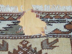 Orientteppich mit Mottenloch