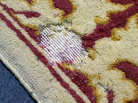 Mottenschut im Teppich